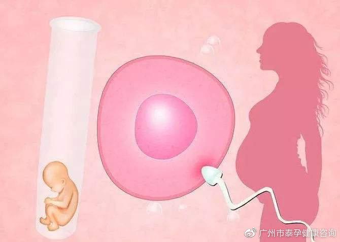 供卵试管婴儿宝宝为什么喜欢蹬腿
