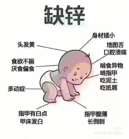 供卵代生的宝宝为什么会缺锌